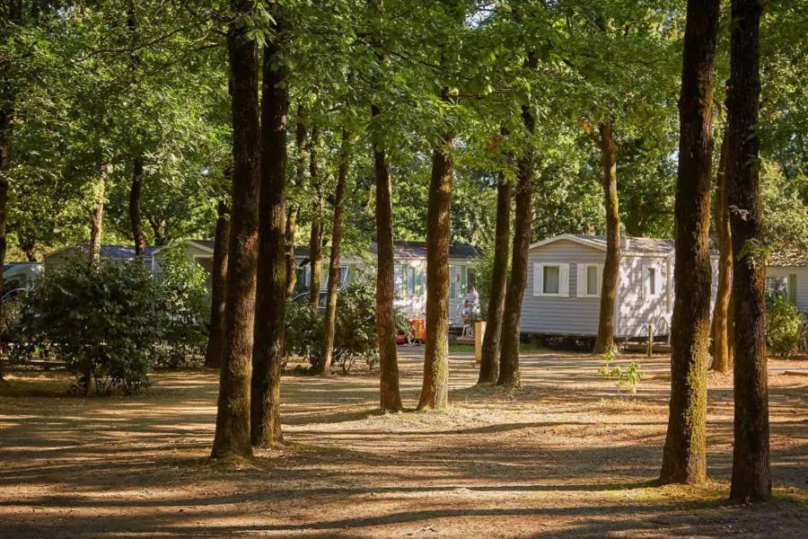 Mobil-home 5 Places Camping La Boissiere-de-Montaigu